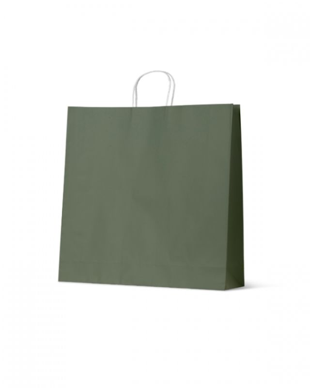 Paper Bags - Earth Collection Earth Green Extra Large - 100 units