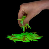 Glow in the Dark Stretchy Worm Fidget Toy - Pack of 12