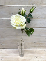 Artificial Rose Spray with Buds - Sophia (White)