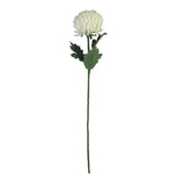 Artificial Flowers - Single Stem Chrysanthemum in Cream 57cmH