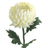 Artificial Flowers - Single Stem Chrysanthemum in Cream 57cmH