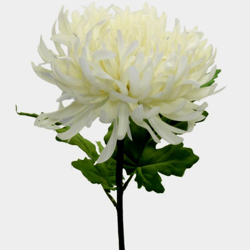 Artificial Flowers - Single Stem Chrysanthemum in Cream 73cmH
