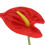 Artificial Flowers - Single Red Mini Anthurium