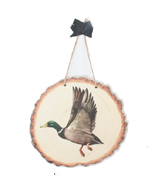Colorful flying duck wall art printed on eco-friendly pine veneer, ready to hang and beautifully packaged.