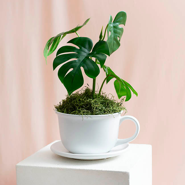 Ceramic Coffee Cup Pot & Plate Matte White