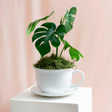 Ceramic Coffee Cup Pot & Plate Matte White