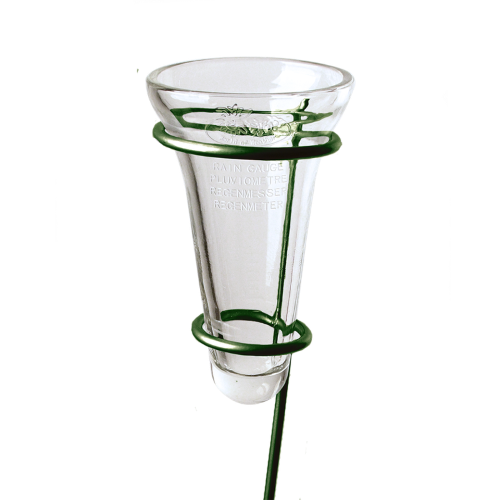 Rain Gauge - Glass 133cm (Set of 2)