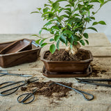 Bonsai Shears - Small (7 x 12cm) - Set of 2