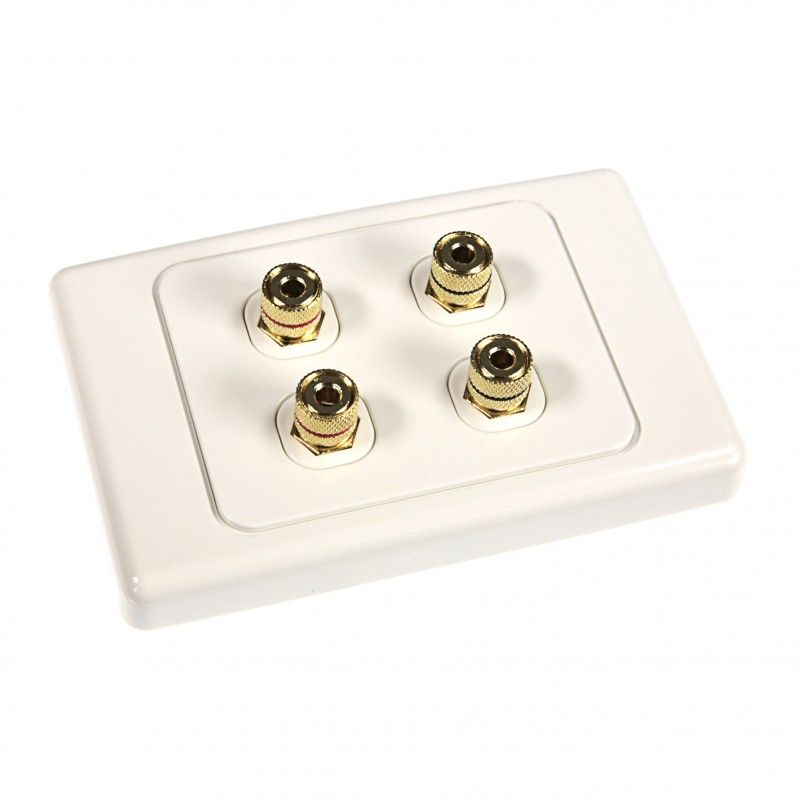 PREMIUM TWO SPEAKER WALL PLATE