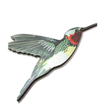 Humming Birds In Flight - Wall Art