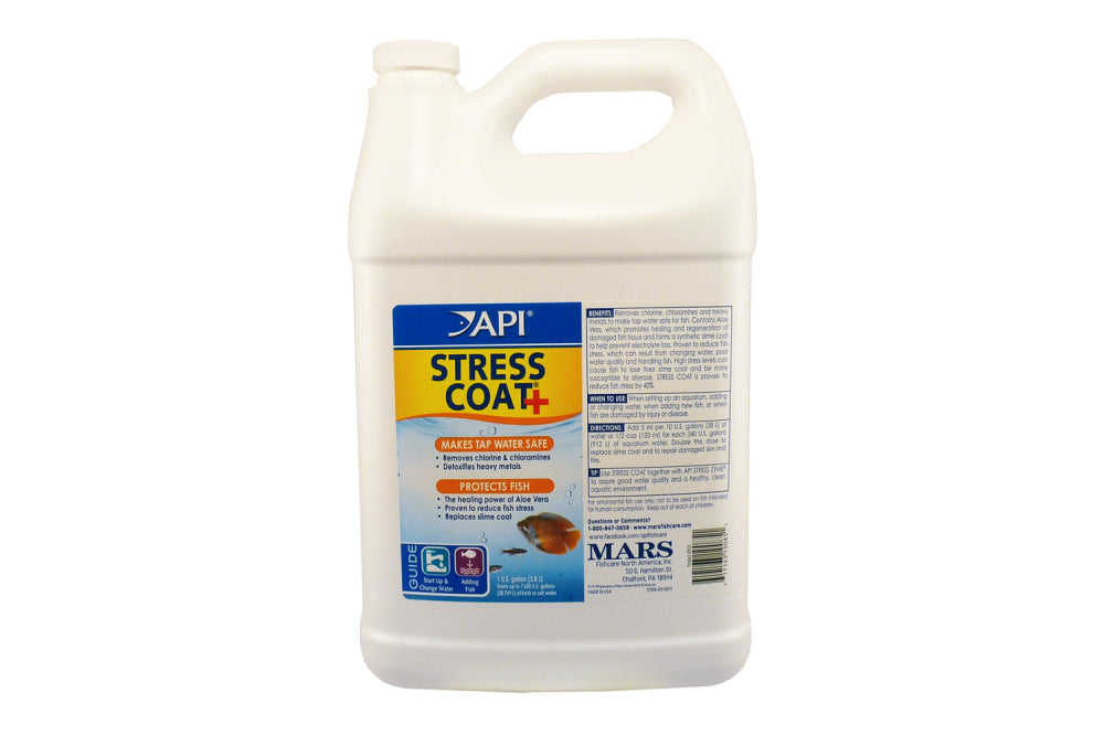API Stress Coat 3.8L