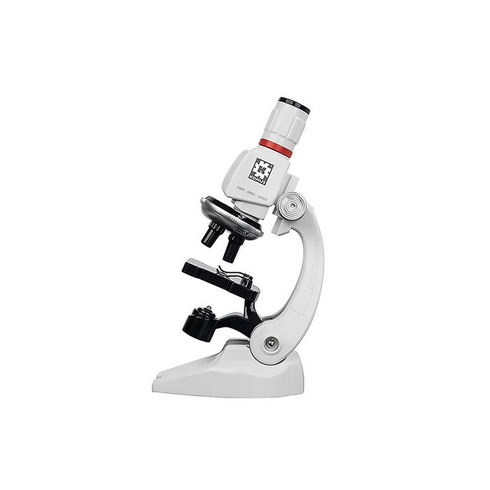 Konustudy-5 1200x Microscope