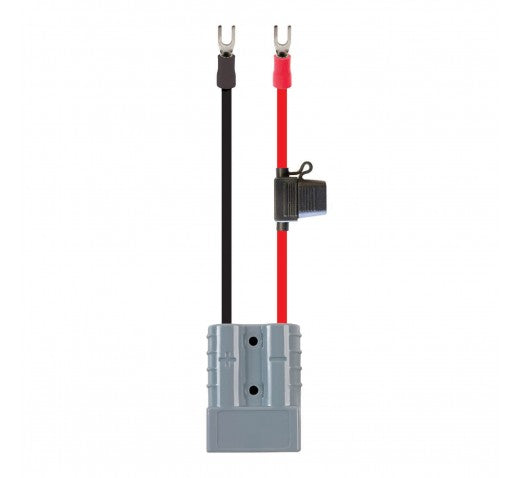 50A PLUG AND EYE TERMINALS 4MM (6MM2) - 30CM