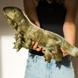 Moana Road - Soft Toy - Trevor the Tuatara (Medium) - 2 units