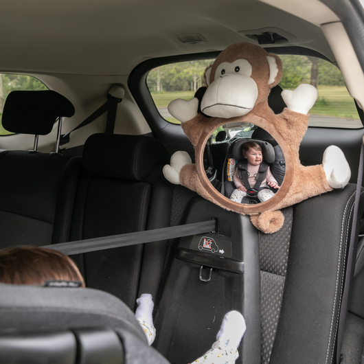 Baby in View Mirror - Moose Monkey