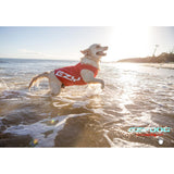 Dog Rashie - Small - 35cm