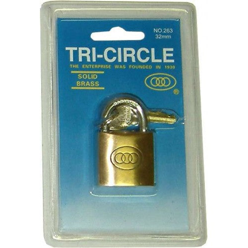 Compact 32mm brass padlock with a strong steel shackle, ideal for lockers and personal item security.