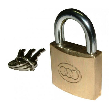 50mm brass padlock with hardened steel shackle, durable for outdoor use, includes 3 keys, ideal for securing various items.