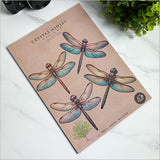 Wall Art - Pop Out Dragonfly Set