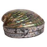 Paua Shell Jewellery Box