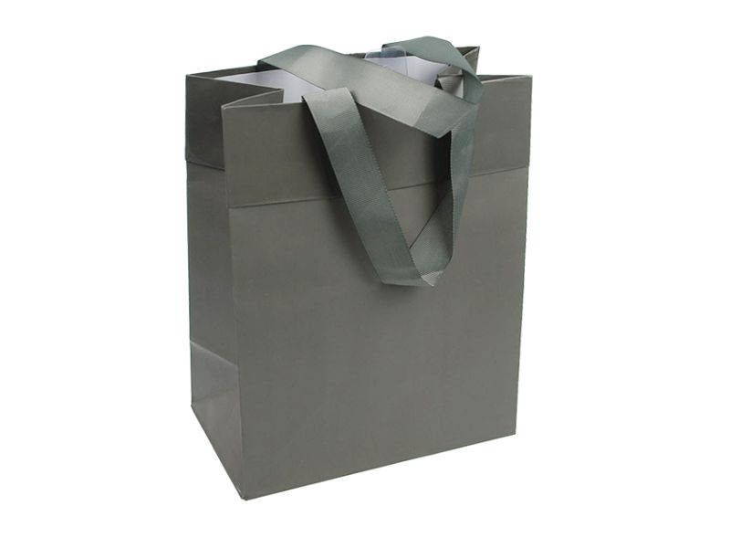 Paper Gift Bag - Grey Small 24.7cm (Set of 10)