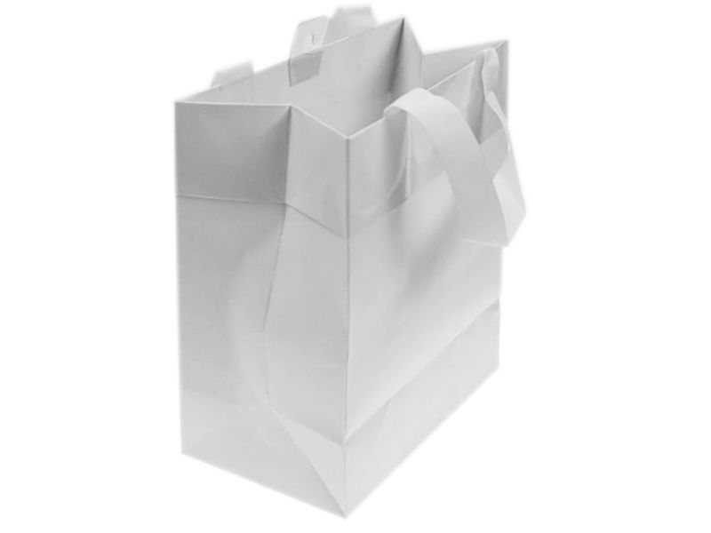 Paper Gift Bag - White Small 24.7cm (Set of 10)