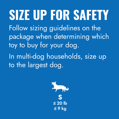 Dog Toy - KONG Puppy Goodie Bone (Small)