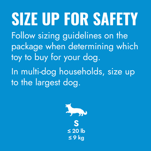 Dog Toy - KONG Puppy Flyer (Assorted)