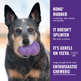 Dog Toy - KONG Senior (Large)