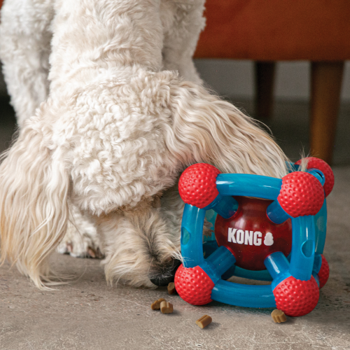 Dog Toy - KONG Rewards Tinker (Medium/Large)