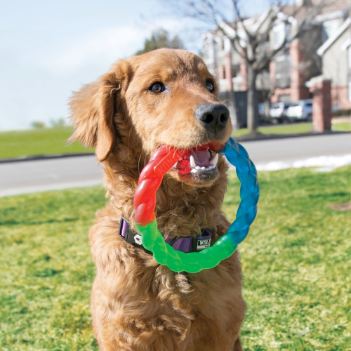 Dog Toy - KONG Twist Ring (Small)