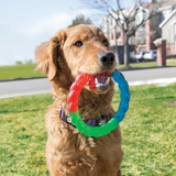 Dog Toy - KONG Twist Ring (Small)