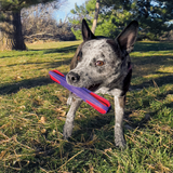 Dog Toy - KONG Duets Duos Stick