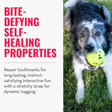 Dog Toy - KONG Reflex Ball (Large)