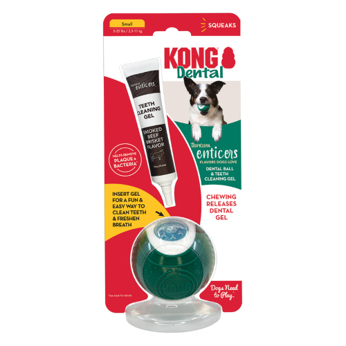 Dog Toy - KONG Dental Ball with Solution (Small)