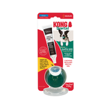 Dog Toy - KONG Dental Ball with Solution (Medium)