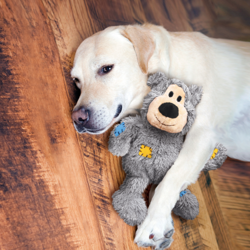 Dog Toy - KONG Wild Knots Bear (Medium/Large)