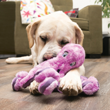 Dog Toy - KONG Softseas Octopus (Large)