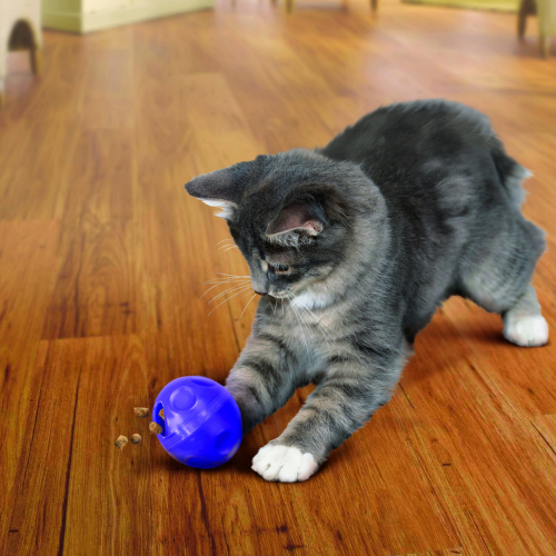 Cat Treat Dispensing Ball - KONG