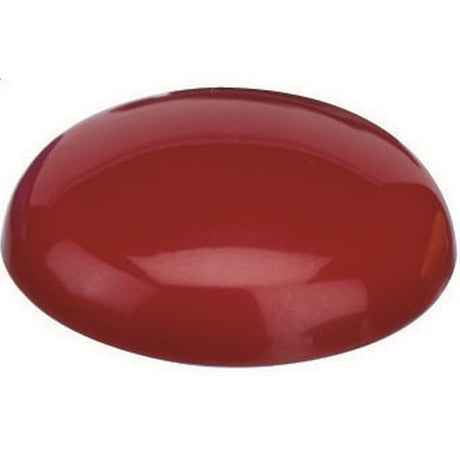 Vibrant red 20mm magnetic buttons, 10-pack, ideal for securing documents and photos on magnetic surfaces.