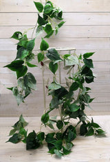 Philodendron Garland (Green) 180cm