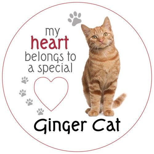 Ginger Cat Piece of My Heart Magnet  (Set of 2)