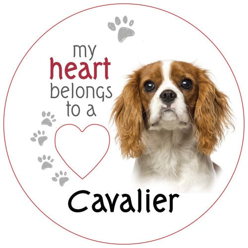 Cavalier Piece of My Heart Magnet  (Set of 2)