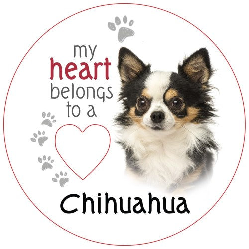 Chihuahua (Long Haired) Piece of My Heart Magnet  (Set of 2)