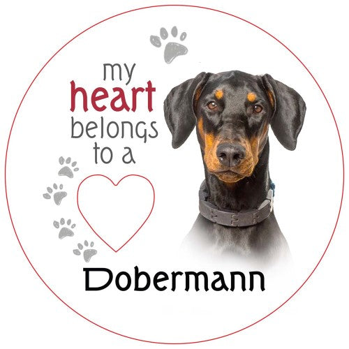 Dobermann Piece of My Heart Magnet  (Set of 2)
