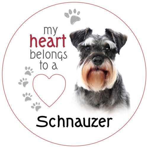 Schnauzer Piece of My Heart Magnet  (Set of 2)