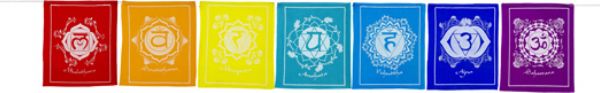 Flag Tibet Prayer Cotton-Chakra 56 Inches