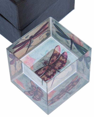 Dragonfly Cube Paperweight