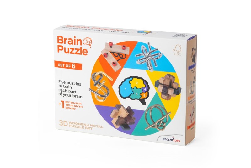 RECENT TOYS BRAIN PUZZLE (SET OF 6)