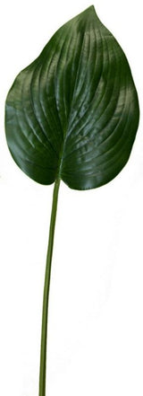 Leaf Spray / Green